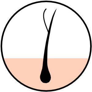 split-hair